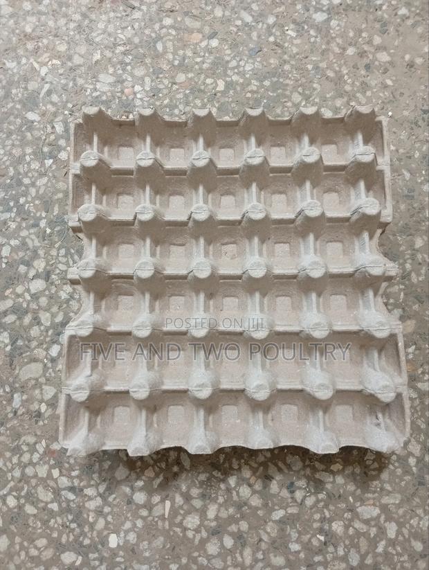 Brown Paper Tray - main view