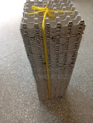 Brown Paper Tray