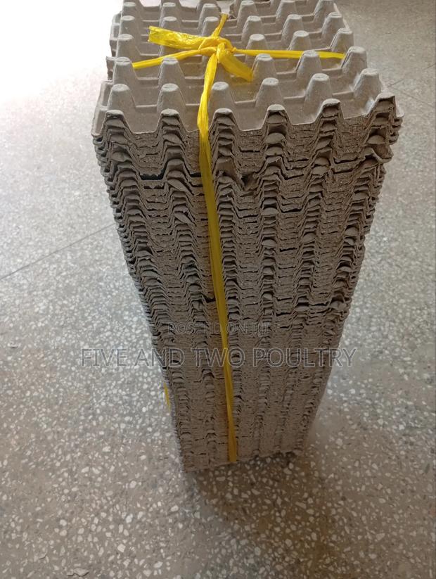 Brown Paper Tray - thumbnail 3