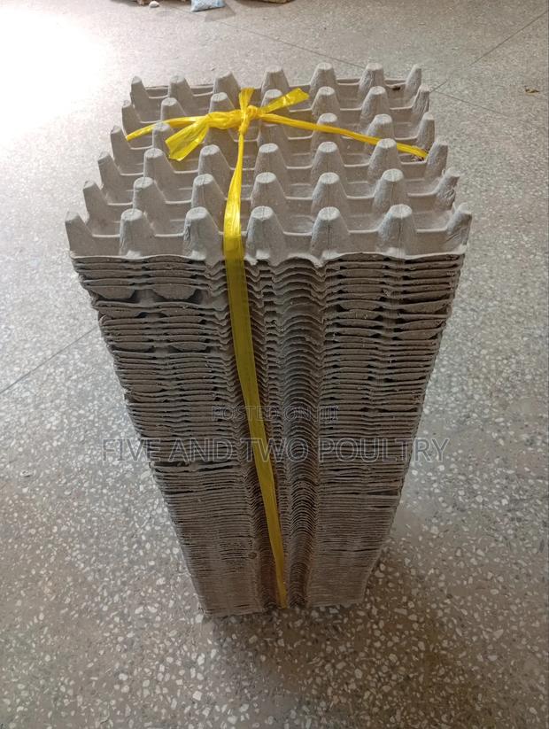 Brown Paper Tray - thumbnail 4