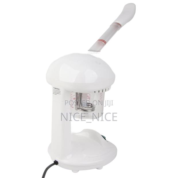 Portable Facial Steamer
