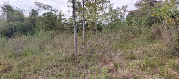 50*100 Plot for Sale in Ngong Ololua - thumbnail 4