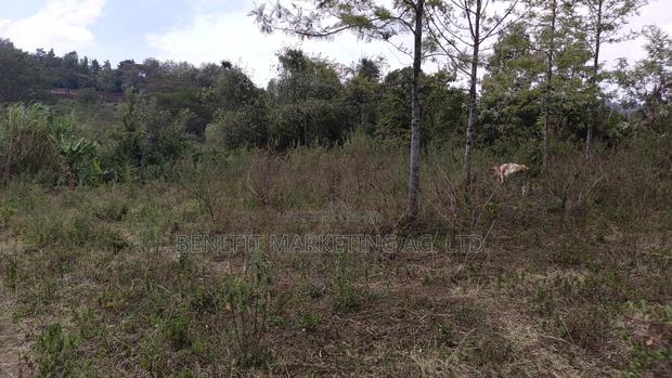 50*100 Plot for Sale in Ngong Ololua - thumbnail 5