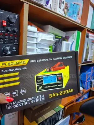 Bolaimei 12v/24v Automatic Pulse Repair Fast Charger With Lcd