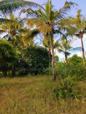 3 Acre Mature Farm for Sale - thumbnail 2