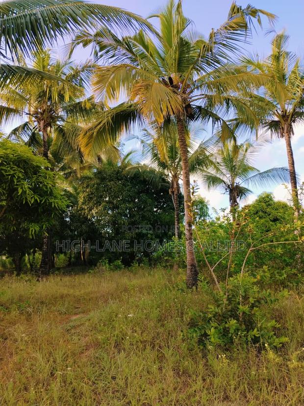 3 Acre Mature Farm for Sale