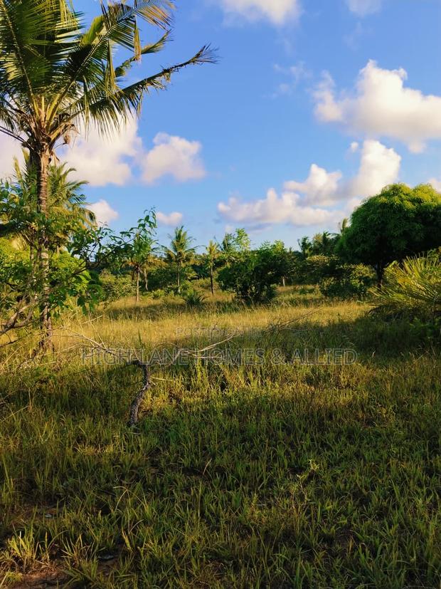 3 Acre Mature Farm for Sale - thumbnail 3