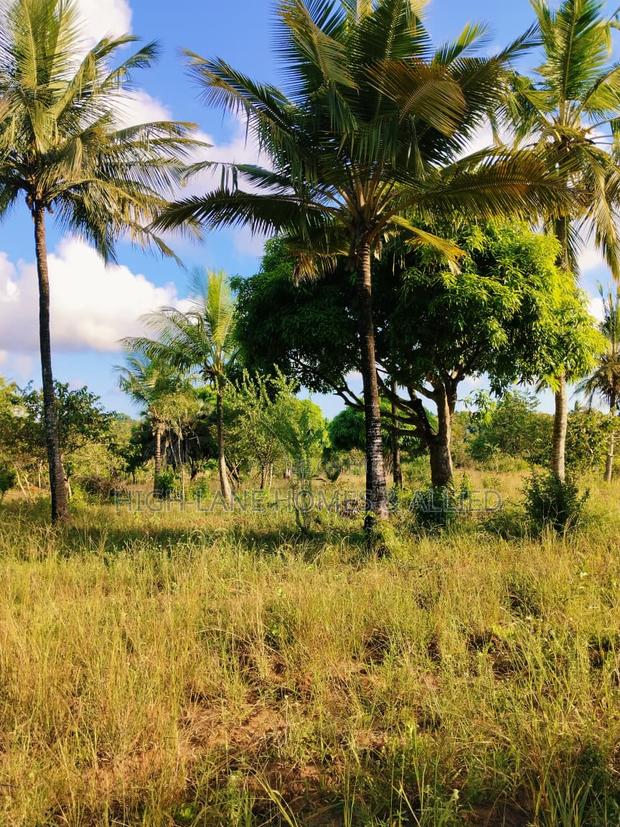 3 Acre Mature Farm for Sale - thumbnail 4