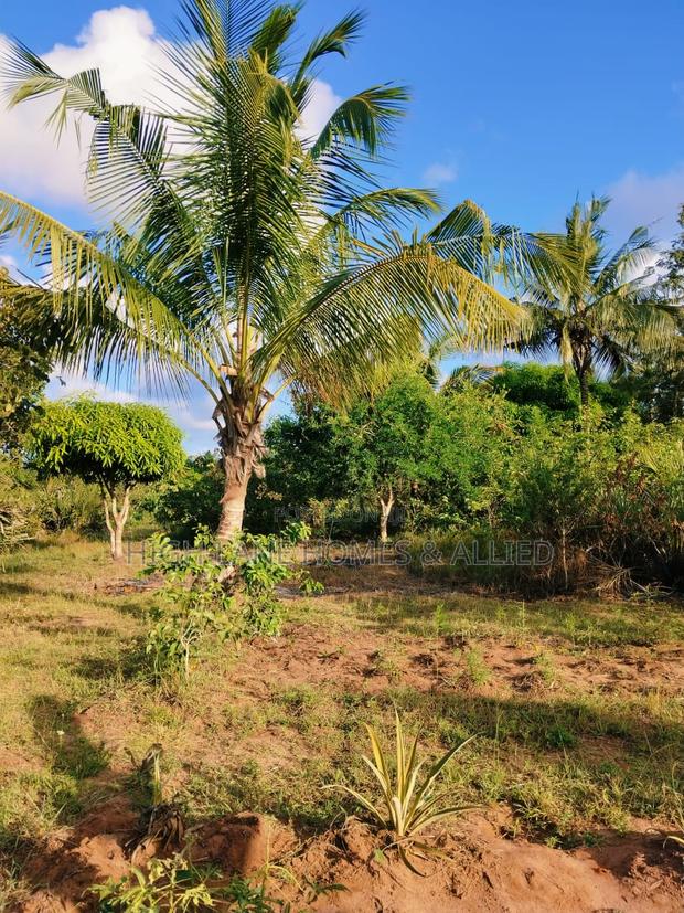 3 Acre Mature Farm for Sale - thumbnail 5