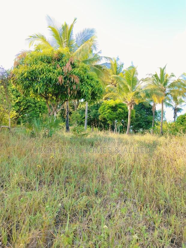 3 Acre Mature Farm for Sale - thumbnail 6