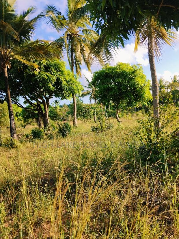 3 Acre Mature Farm for Sale - thumbnail 8