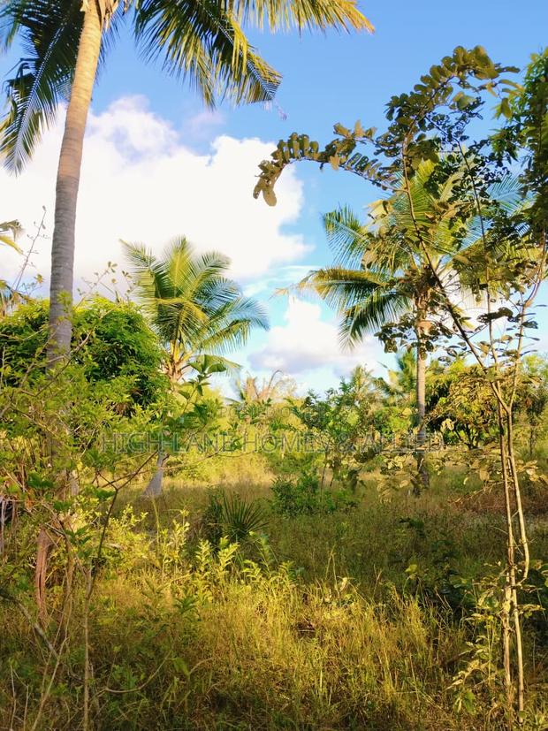 3 Acre Mature Farm for Sale - thumbnail 9