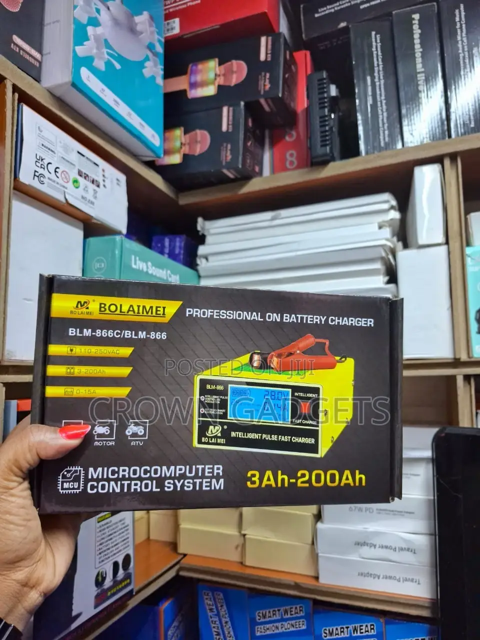 12v 24v Automatic Pulse Repair Charger for Car, Motorcycle, Truck