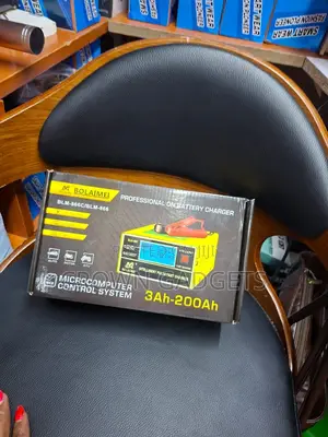 12v 24v Automatic Pulse Repair Charger for Car, Motorcycle, Truck