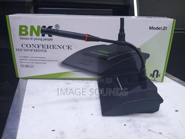BNK Gooseneck Microphone - main view