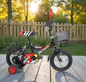 Lightweight Kids Bicycle 12 14 16 Inch for Ages 2–11 With Accessories