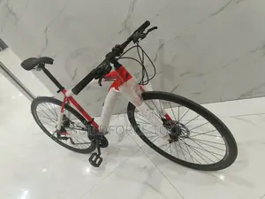 Premier Bicycles Racing Bike