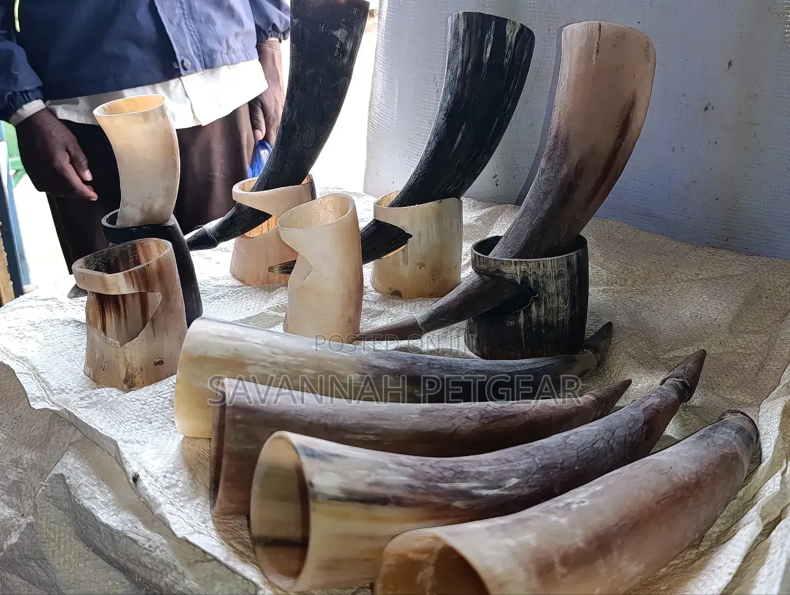 Authentic Handcrafted Wine Drinking Horns (Viking Horns) With Stands