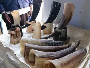 Authentic Handcrafted Wine Drinking Horns (Viking Horns) With Stands