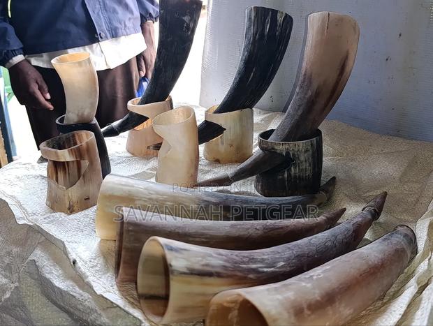Authentic Handcrafted Wine Drinking Horns (Viking Horns) With Stands - thumbnail 3