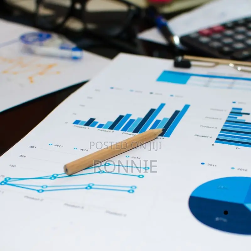 Professional Feasibility Reports Business Plans for Eac Markets