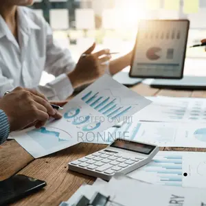 Investor-Ready Proposals, Feasibility Studies Business Plans (Eac)