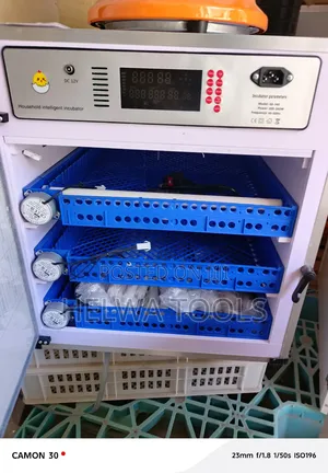 Automatic Eggs Incubator 204 and Infrared Chicken Bulb