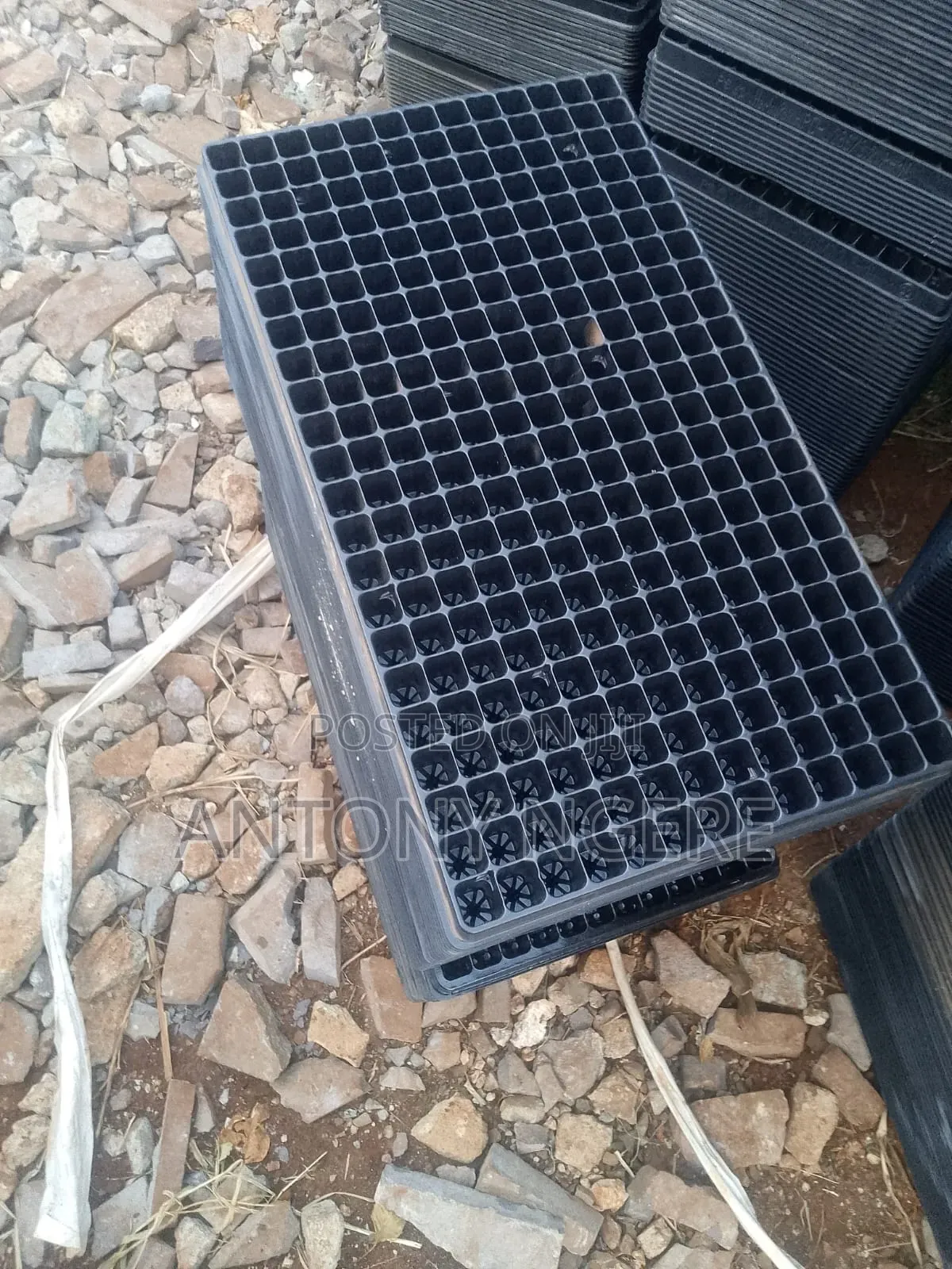 Seedling Trays 286 Holes
