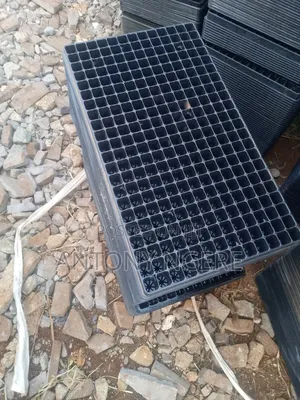 Seedling Trays 286 Holes