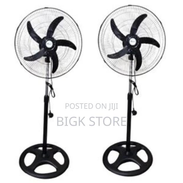 Ipcone Standing Fan 16" - main view