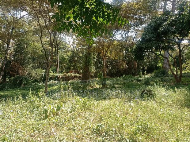 Prime 1.5 Acre Property on Sale - thumbnail 2