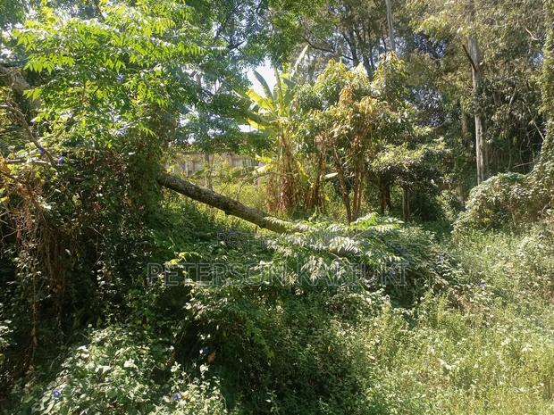 Prime 1.5 Acre Property on Sale - thumbnail 3