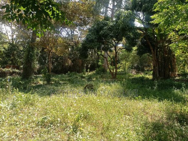 Prime 1.5 Acre Property on Sale - thumbnail 4