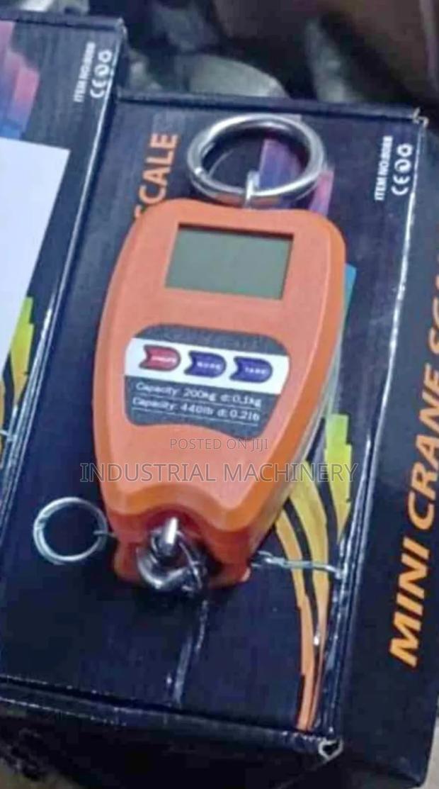 Crane Weighing Scale 200kgs - main view