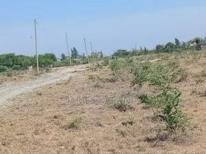 Plot for Sale