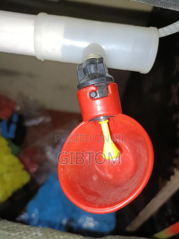 Poultry Automatic Water Drinkers Red Cups