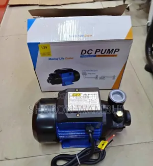 Water Pump Dc/ Solar Booster Water Pump