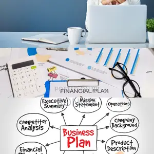 Top-Level Business Plan Development Writing Services
