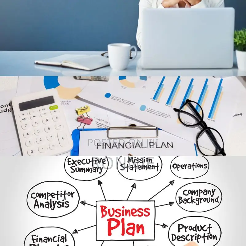 Top-Level Business Plan Development Writing Services