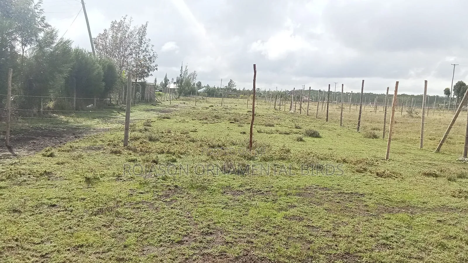 Prime Plot Near Masai School Tuala