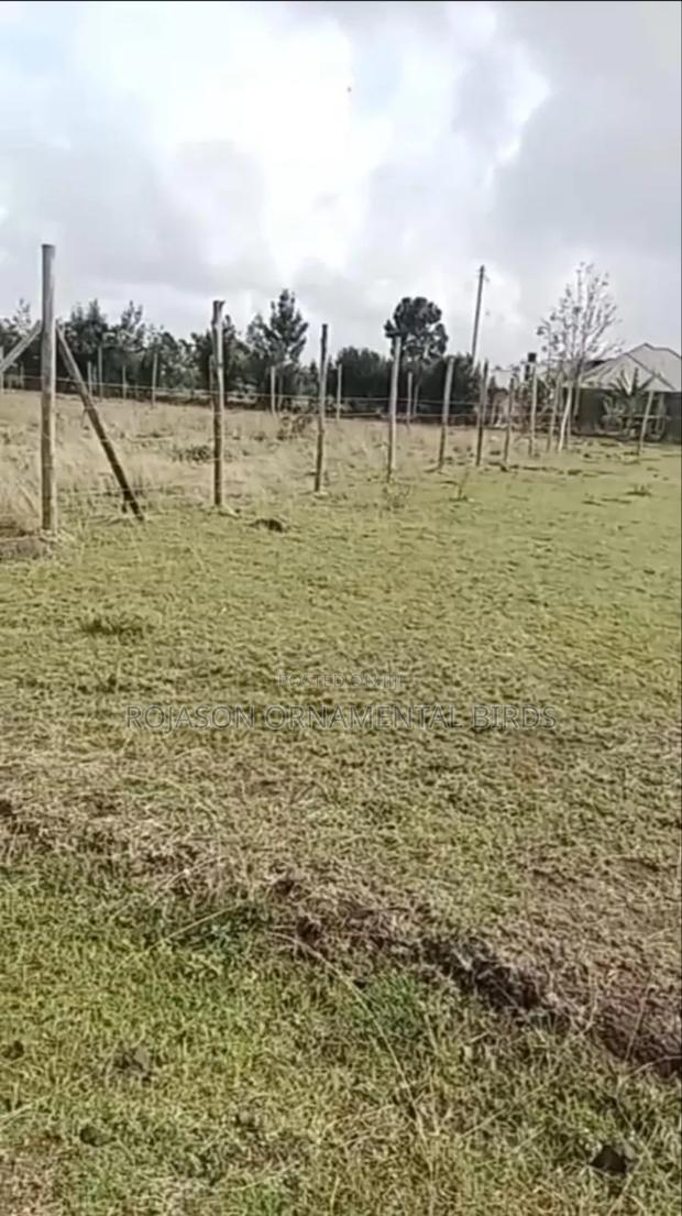 Prime Plot Near Masai School Tuala - thumbnail 2