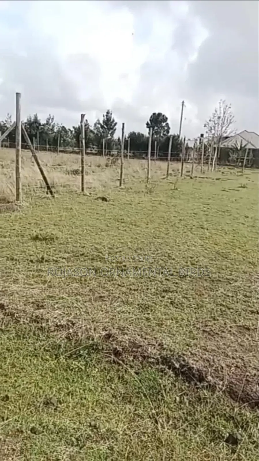 Prime Plot Near Masai School Tuala