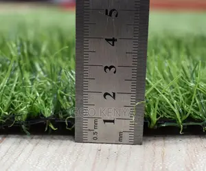Home Carpet; Durable Plastic Artificial Grass Floor for Outdoor Areas