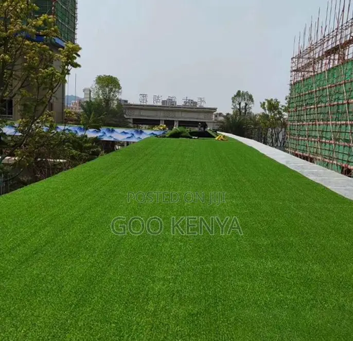 Home Carpet; Durable Plastic Artificial Grass Floor for Outdoor Areas