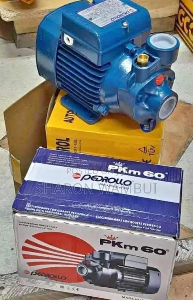 Pedrollo Water Pump 0.5hpl / 0.5hp Pedrollo Water Pump