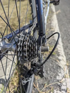 Saracen Road Bike