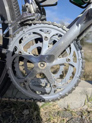 Saracen Road Bike
