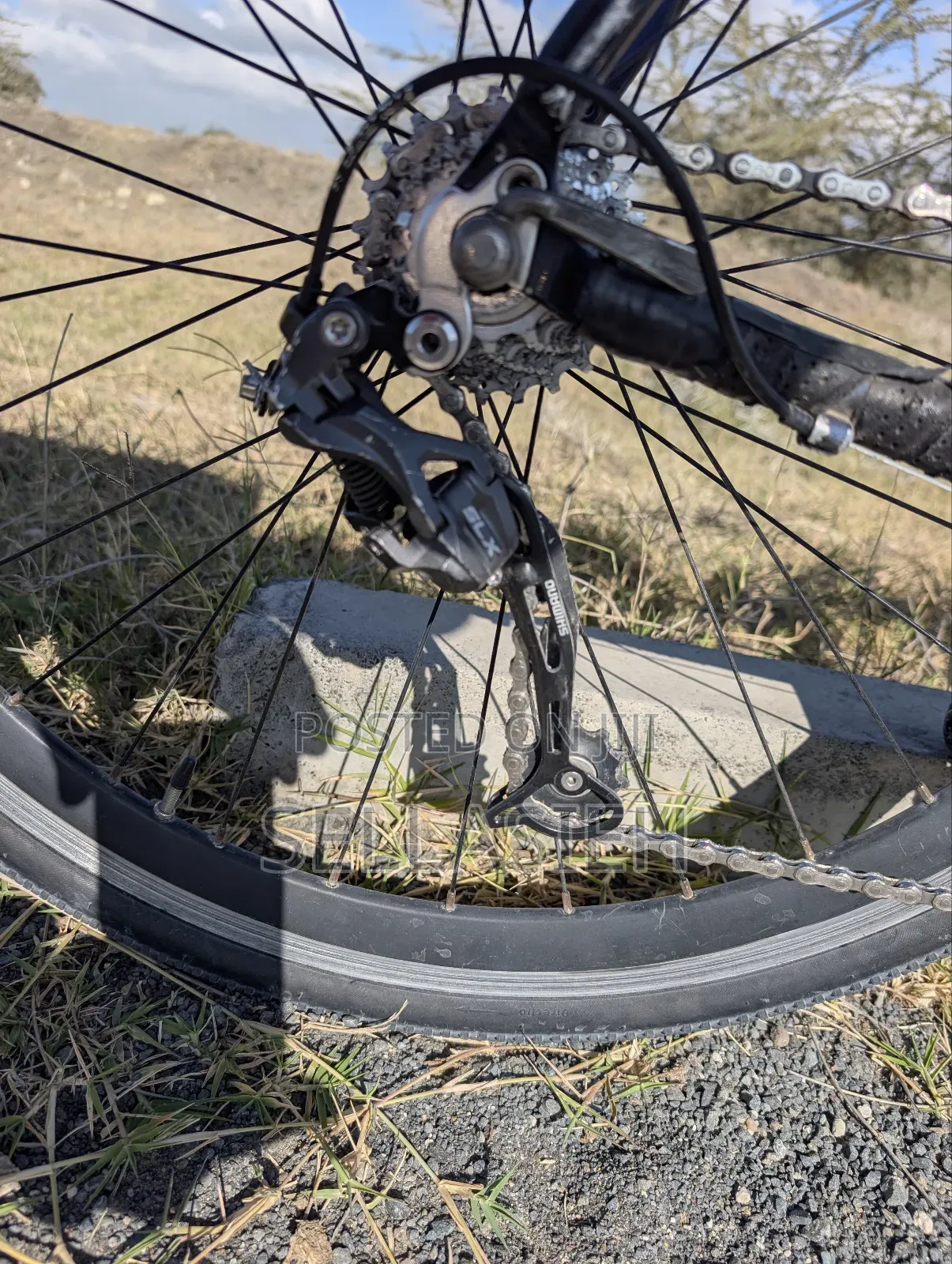 Saracen Road Bike