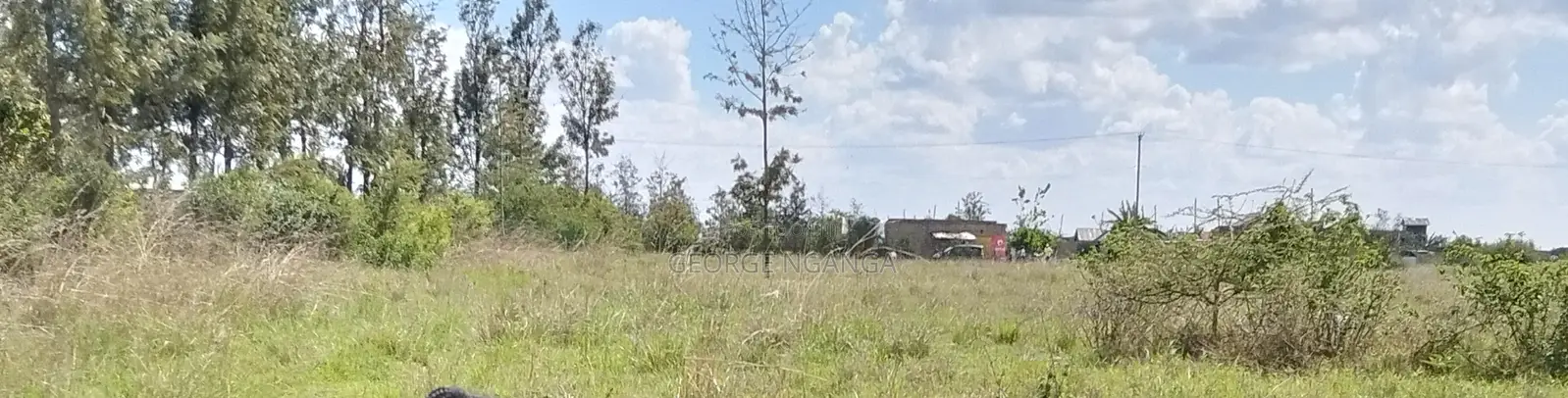 Land For Sale In Muthaara