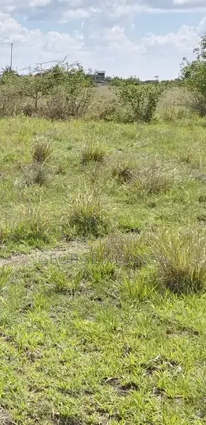 Land For Sale In Muthaara